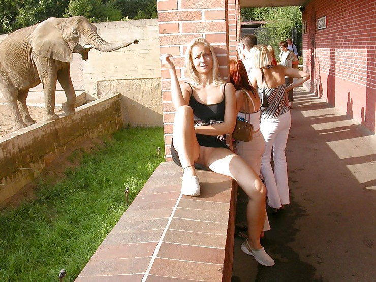 Viaje al zoológico con la rubia, por blondelover
 #4710157