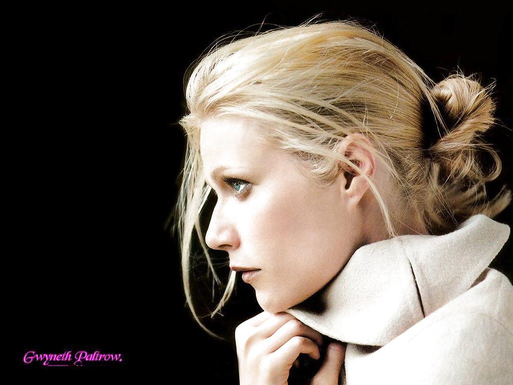 Gwyneth Paltrow mega collection #16861045