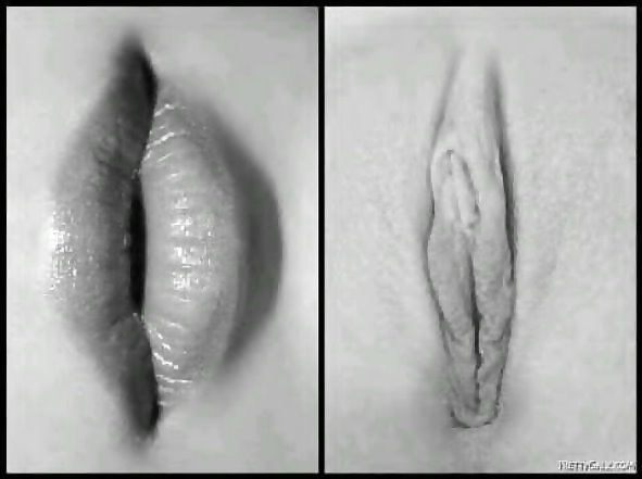 セクシー
 #10365790