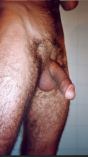 Turkish  Cock 3 #5855875