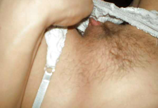 Hairy Gallery 1 #9901083