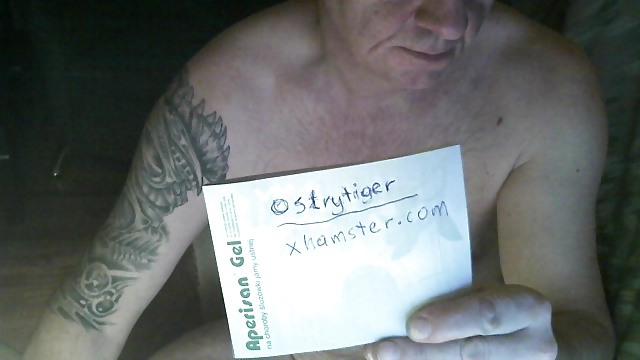 オストリータイガー
 #15517121