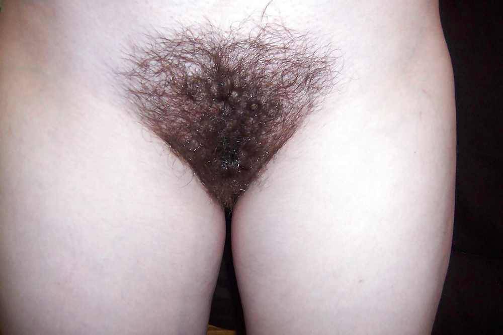 HAIRY WHORE AT HOME #17459315