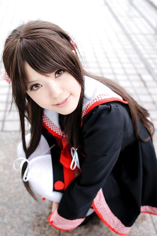 Kipi
 #15847029