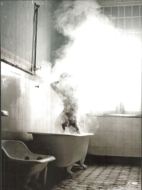 Pour elle 14
 #5513494