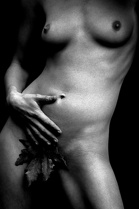 Pour elle 14
 #5513505