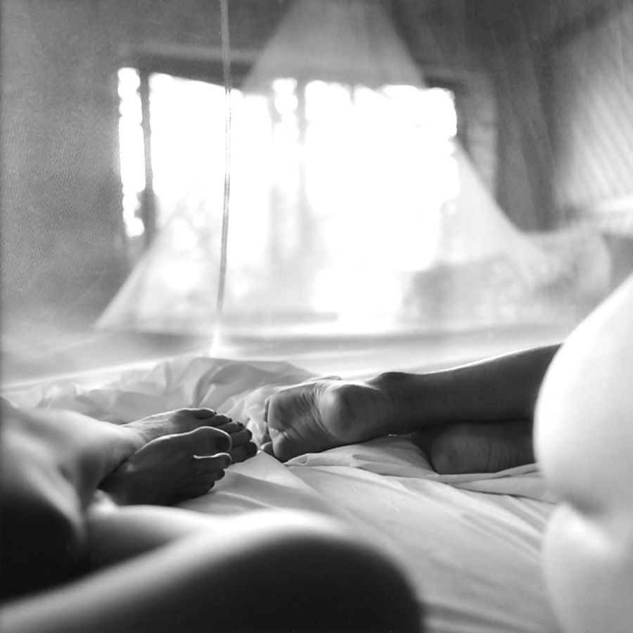 Pour elle 14
 #5513550