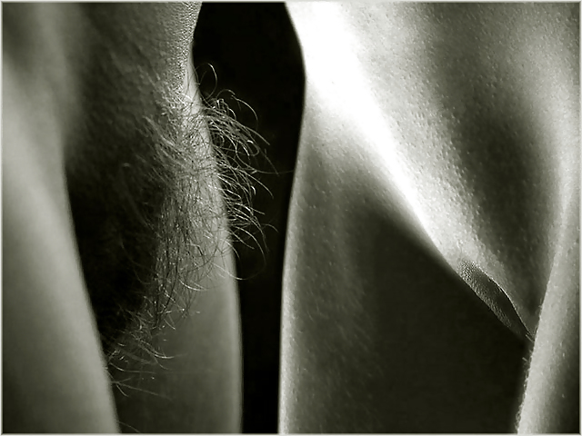 Pour elle 14
 #5513591