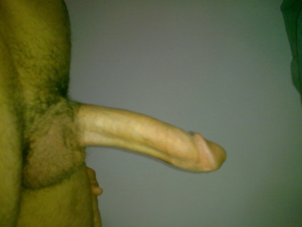 俺のチンコの新しい写真
 #18478164