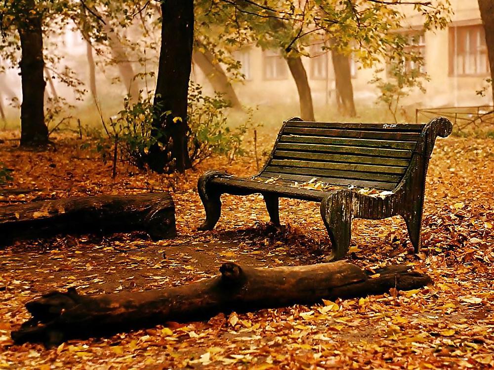Otoño en todas partes.
 #13370098