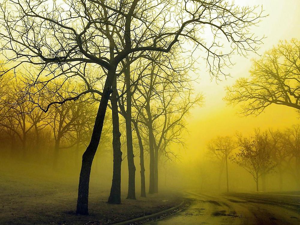 Autum everywhere. #13370105