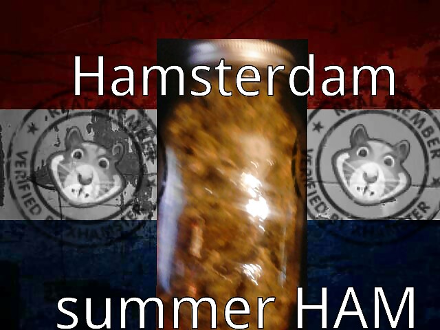 This summer in Amsterdam,420 #13688646