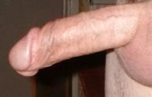Hahn Pix #14758457