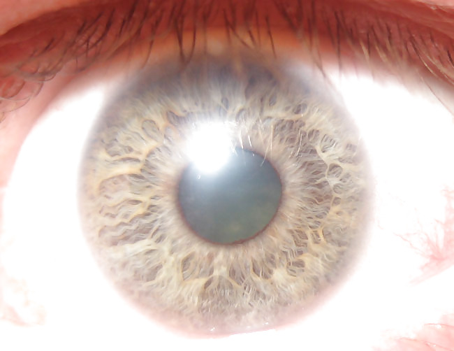 私はあなたを見ています。
 #12607257