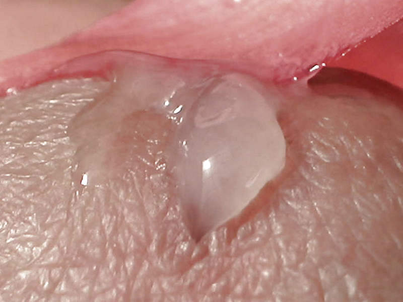 私のゲイリーサフトプリキューム
 #13852282