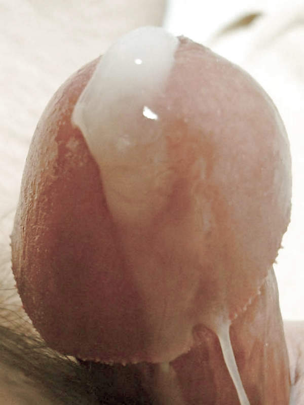 私のゲイリーサフトプリキューム
 #13852302