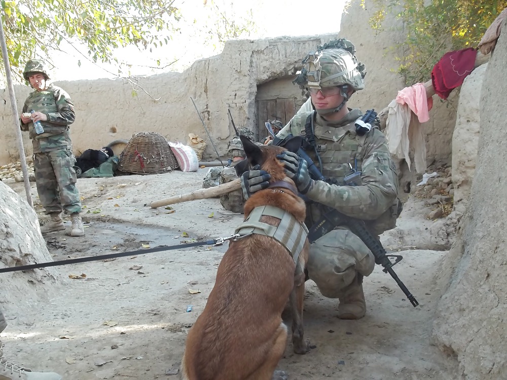 ¡¡¡Yo!!!
 #13576432