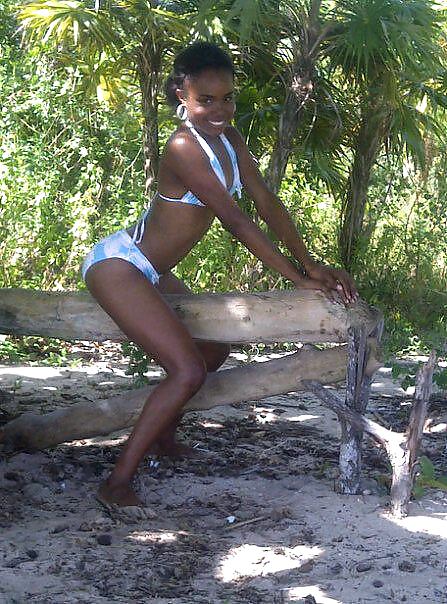 Ebony Honduras. #9848529