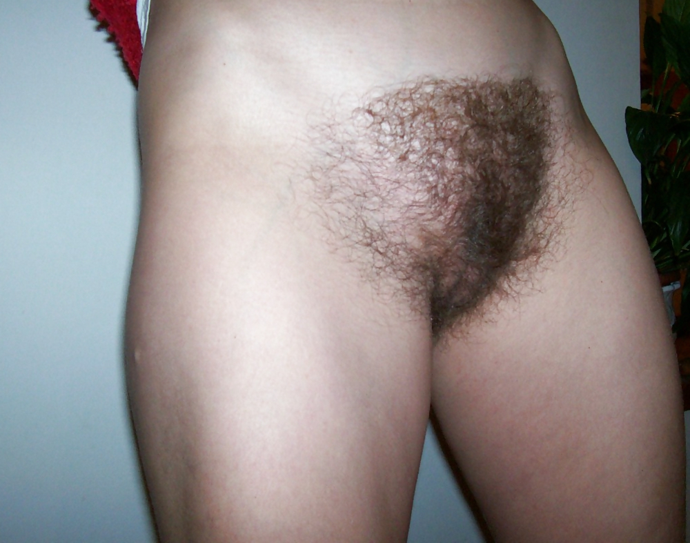 Hairy Pussy 10. #8901085