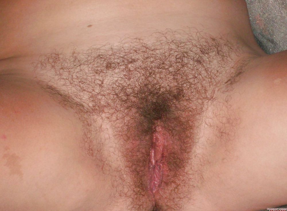 Hairy pussy 3 #22243456