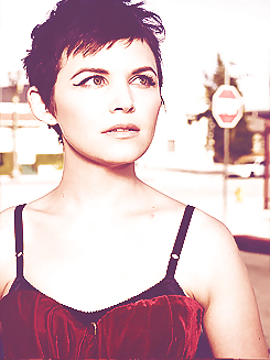 Ginnifer Goodwin collection  #11445065