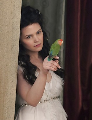 Ginnifer Goodwin Sammlung #11445206