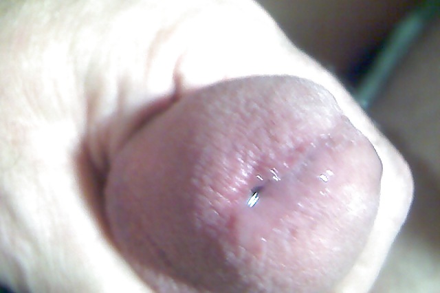 Some close ups of my cock #15515258