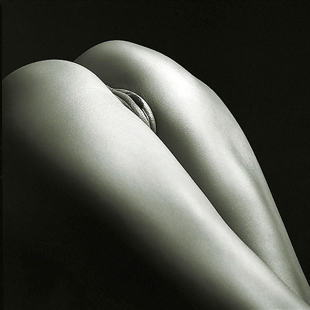 Scheleman - best of art #1852005