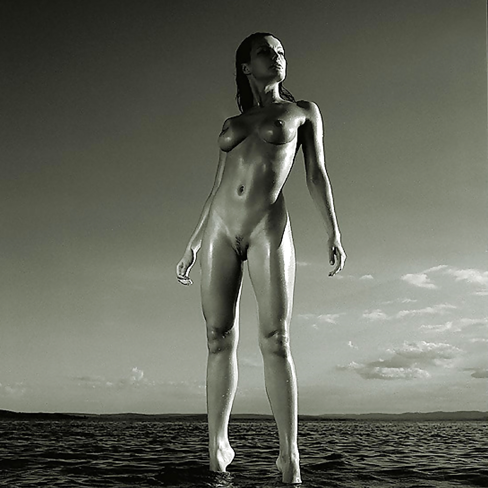 Scheleman - best of art #1852081