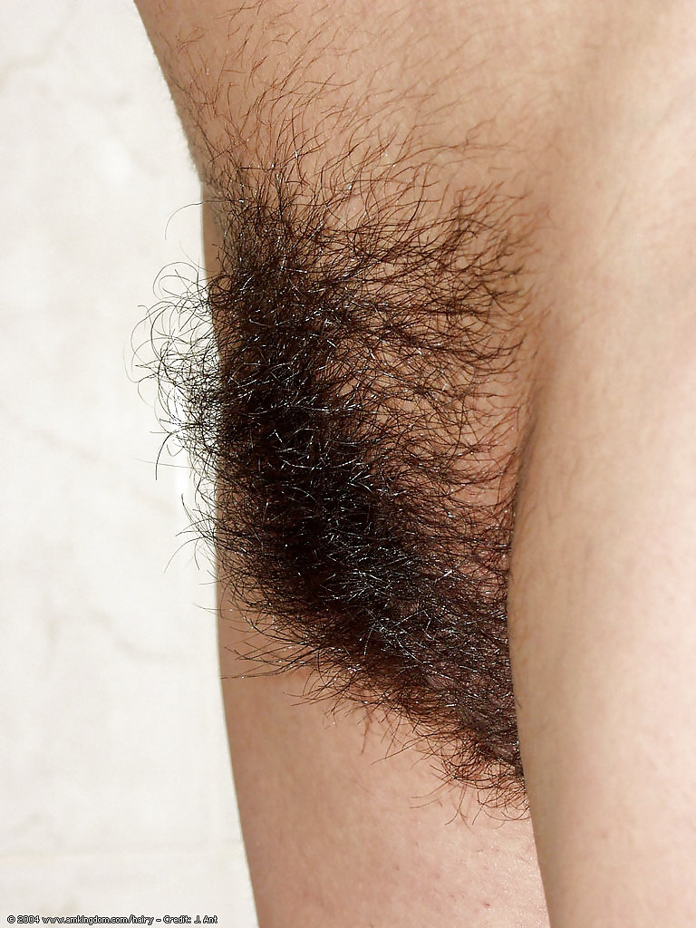 Very furry pussies #9307890