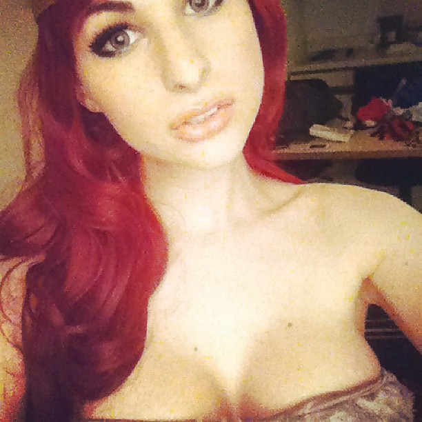 Bailey close up 2 #15137541