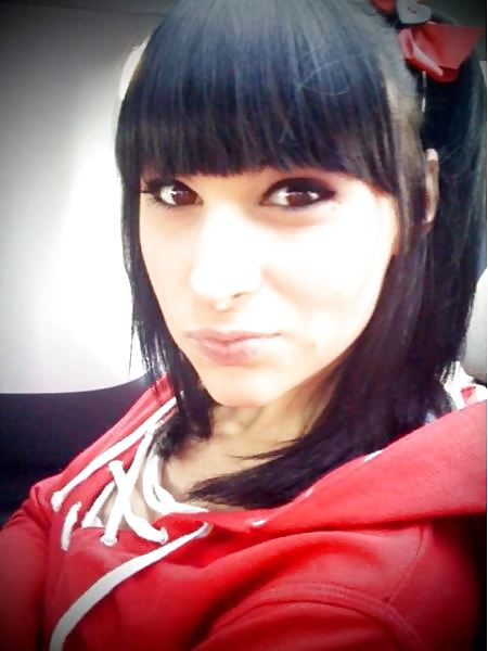 Bailey close up 2 #15137638