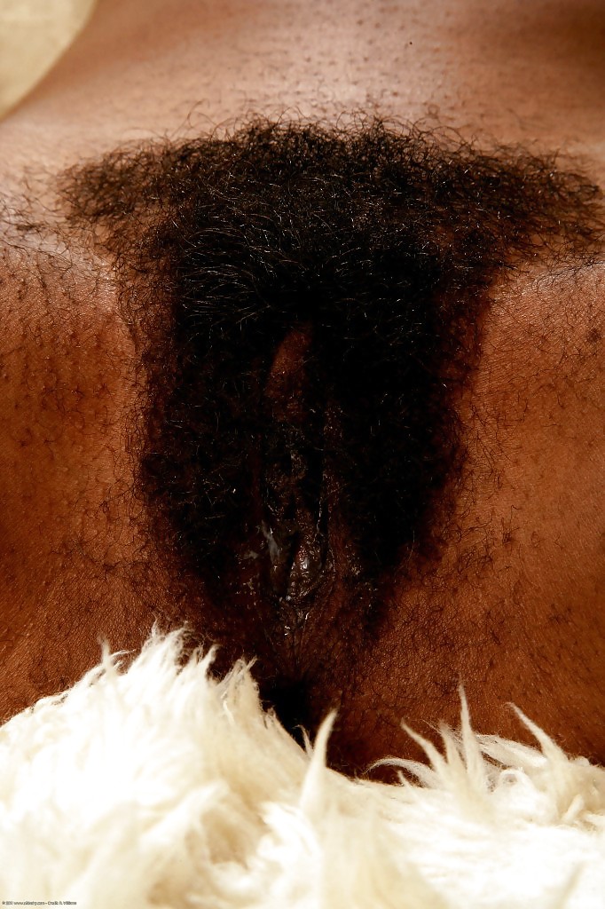 Hairy black & ebony
 #20606739