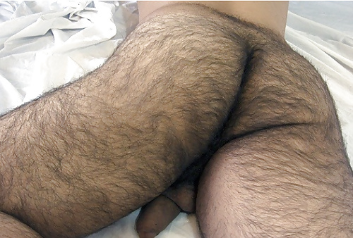 More hairy men #9715742