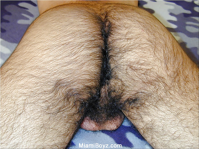 More hairy men #9715868