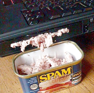 Dishy SPAM…