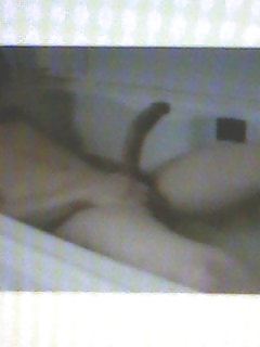 Loch ness cockster
 #13705655