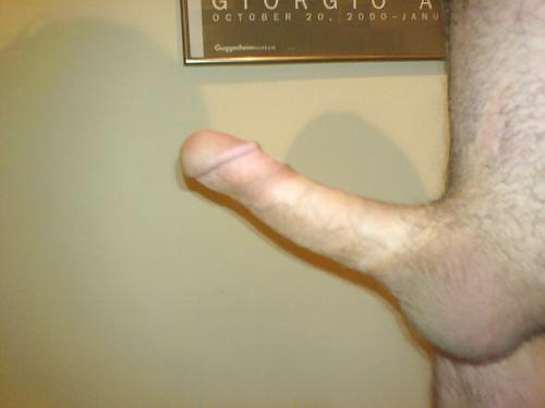 Cock #4334232