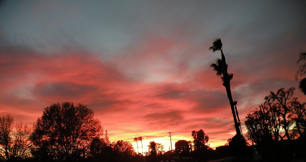 大きい
 #10405148