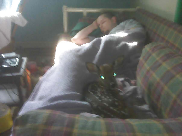 Check me out now funk soul brova #4497519