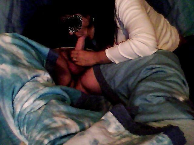 Pompino regale #4017375