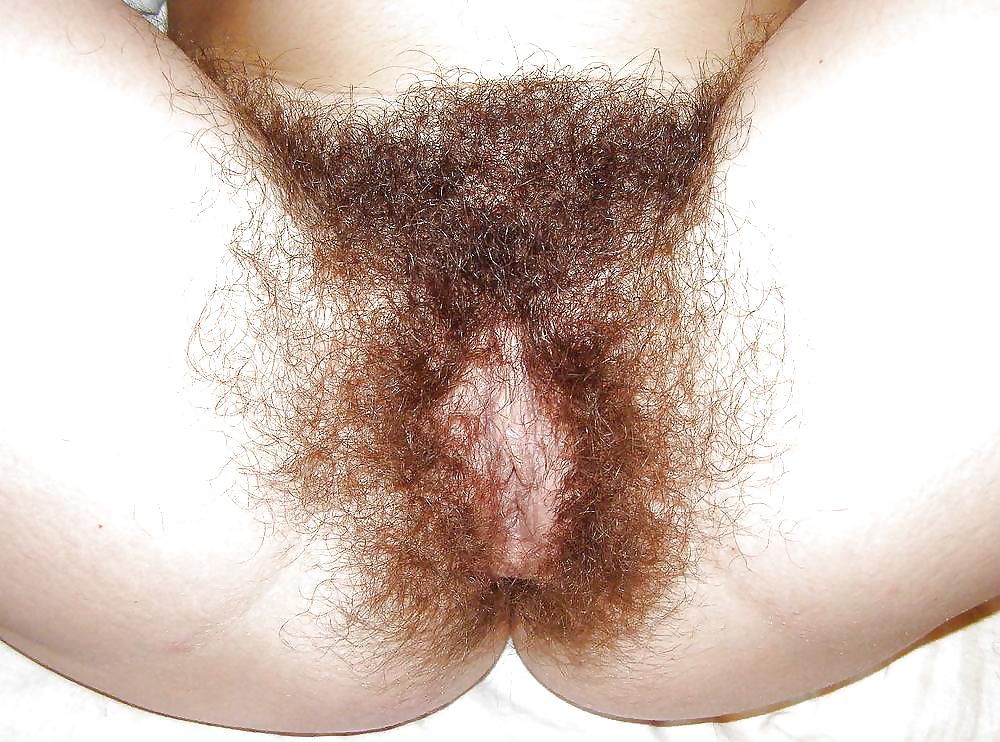 Hunky Ravishing delicious hairy pussys upclose