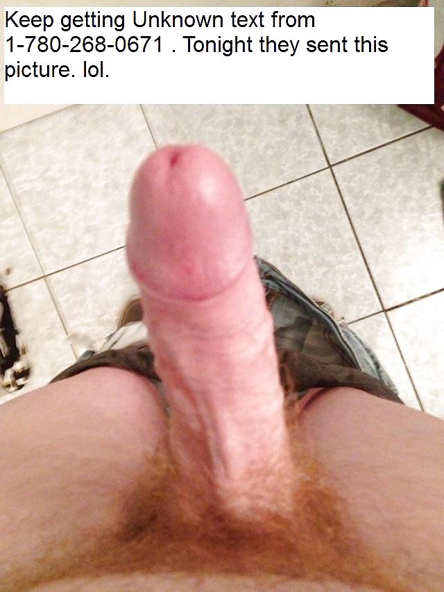 ランダム画像
 #21168813