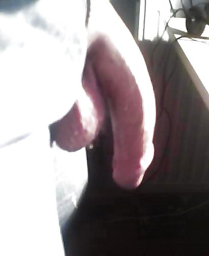 My cock #3356953