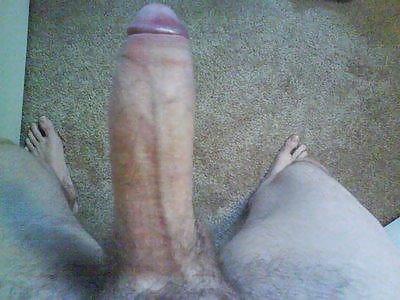 My cock #3356973