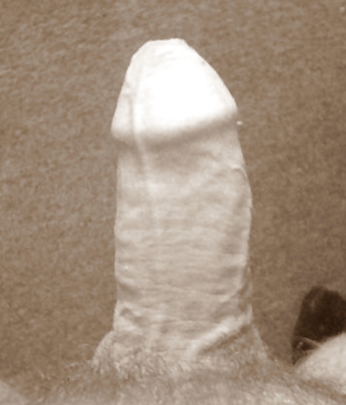 My Cock #4413317