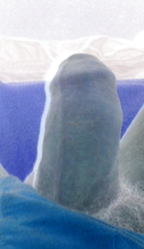 My Cock #4413320