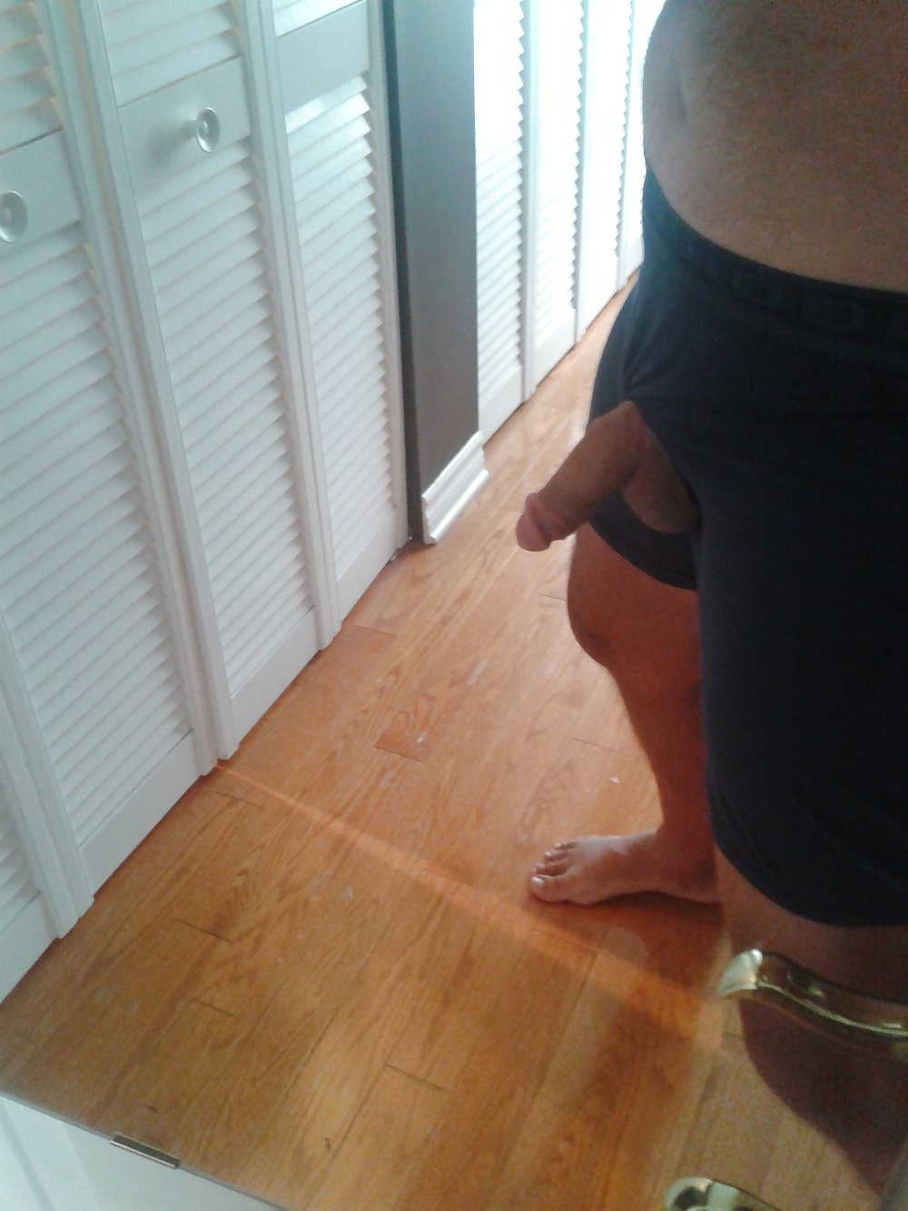 Boxer #9974021