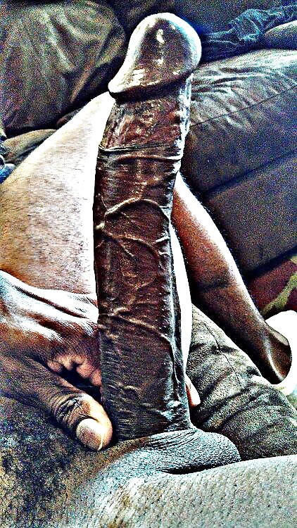Guess What I'm Thankful For... #22171387