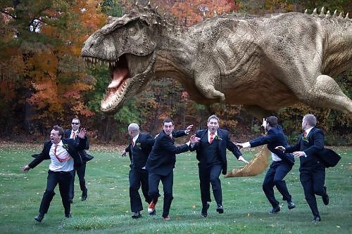 Funny Pics 15 #16846294